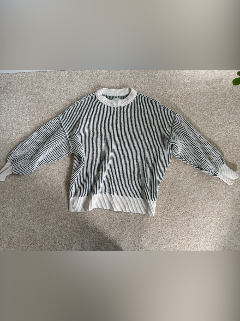 aerie green and Cream Ribbed Crewneck Sweater